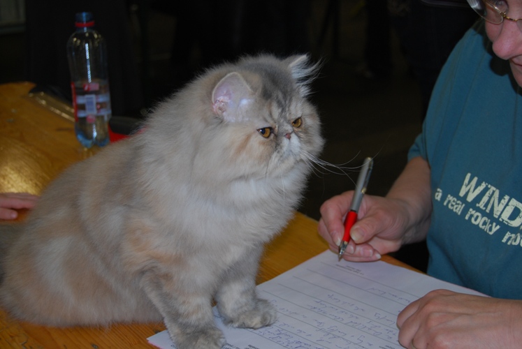 ERYNN EXPO NAMUR