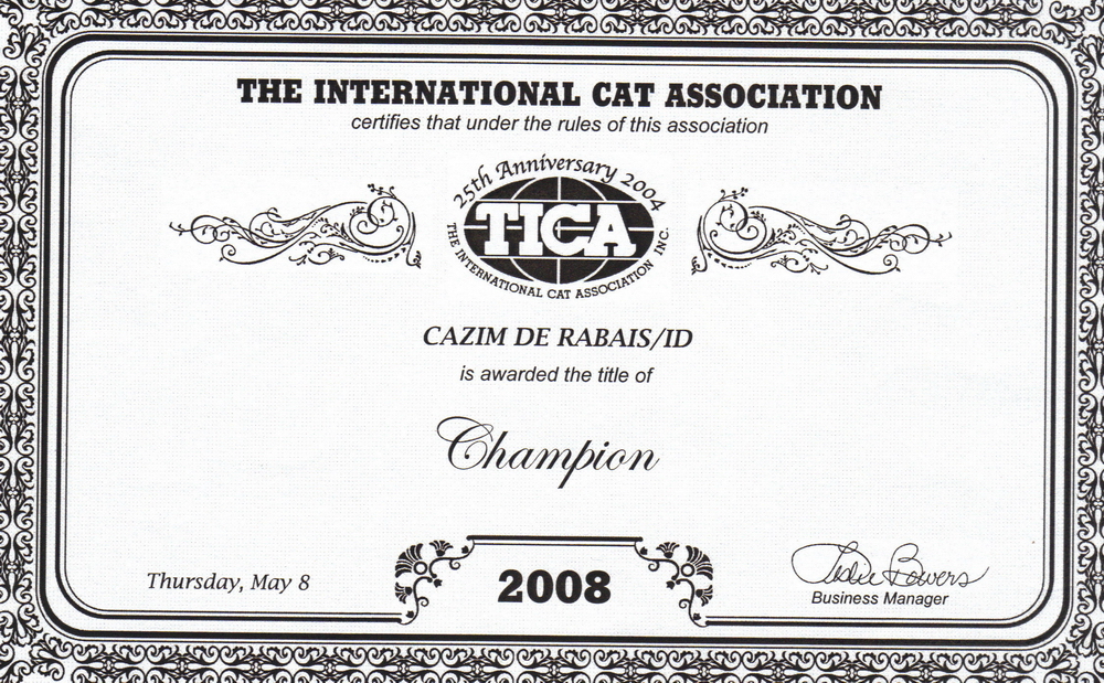champion tica cazim2
