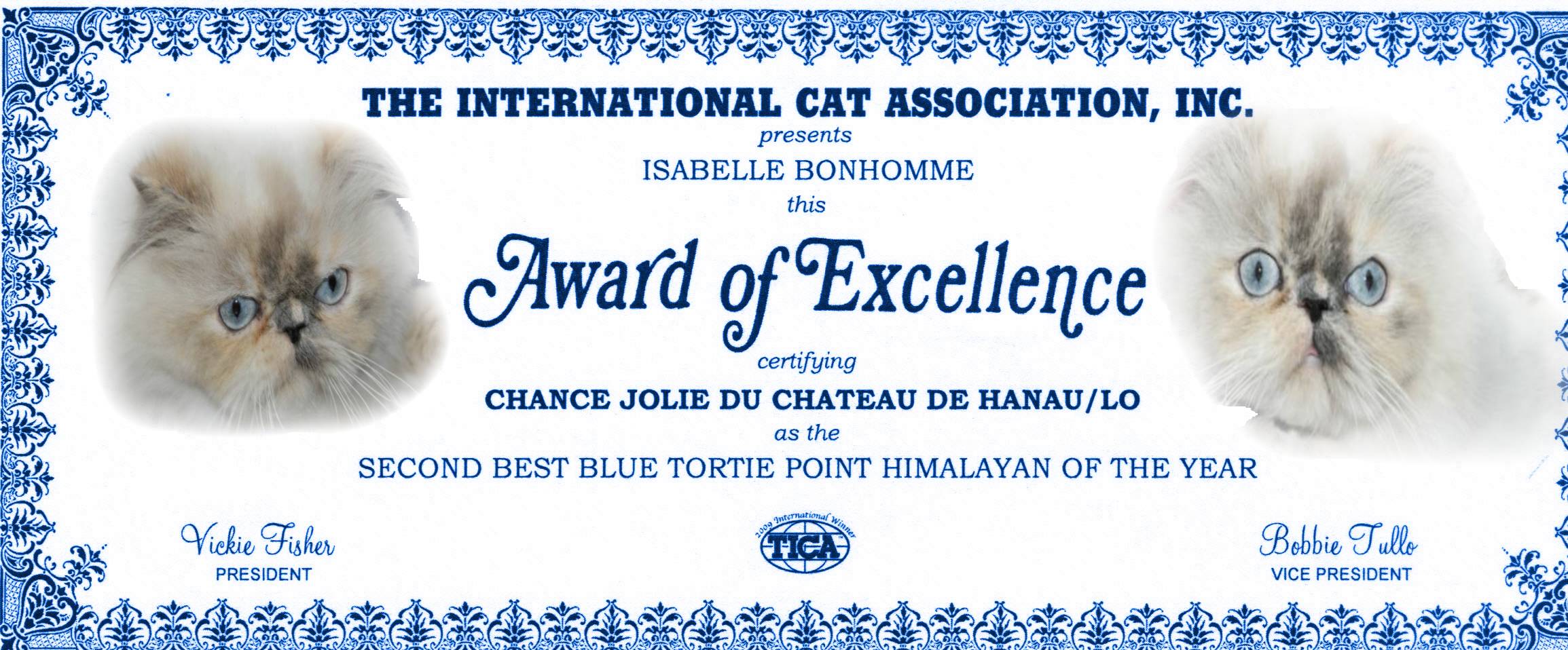 chance jolie 2 best tica