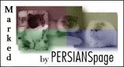 baniere persian page
